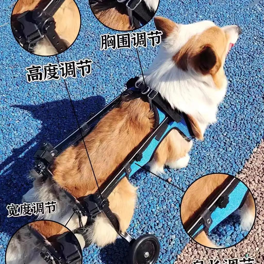 Dog Wheelchair Hind Limb Paralyzed Pet Scooter Disabled Dog Hind Leg Assist Cat Teddy Large Small Dog Bracket