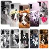 Border Collie Clever Phone Case For Samsung Galaxy A12 A22 A32 A42 A52 A72 A51 A71 5G A41 A31 A21 A02S M12 M21 M31 M30S Fundas
