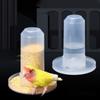 Transparent Automatic for Chicken Dove Parakeet Pigeon Food Box Parrot Water Dispenser Pigeon Feeder Bird Drinking Fountain