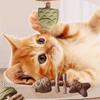 Натуральная игрушка-грызун для кошек Форма рыбьей кости Кошачья мята Актинидия Палочка-грызун Уход за зубами Чистка зубов