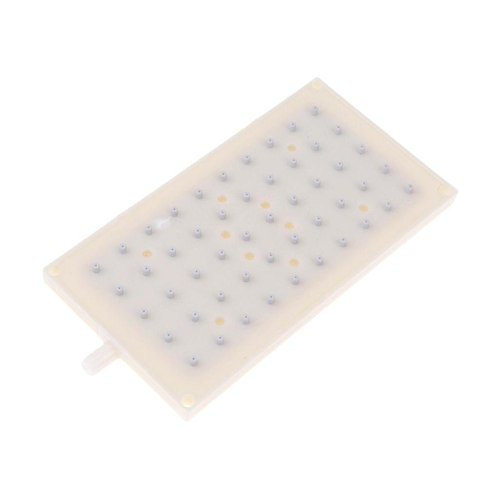 Fixed Replacement with 50 Holes for Household Bathing Showering