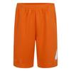 Childrens/Kids Dri-FIT Logo Shorts