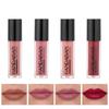 Lip Stain Set of 4 Pieces Matte and Not Easy To Fade Lip Gloss Mirror Lip Stain