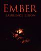 Книга Ember