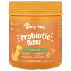 Probiotic Bites™, Dogs, All Ages, Pumpkin Flavor, 90 Soft Chews, 315G (11.1Oz)