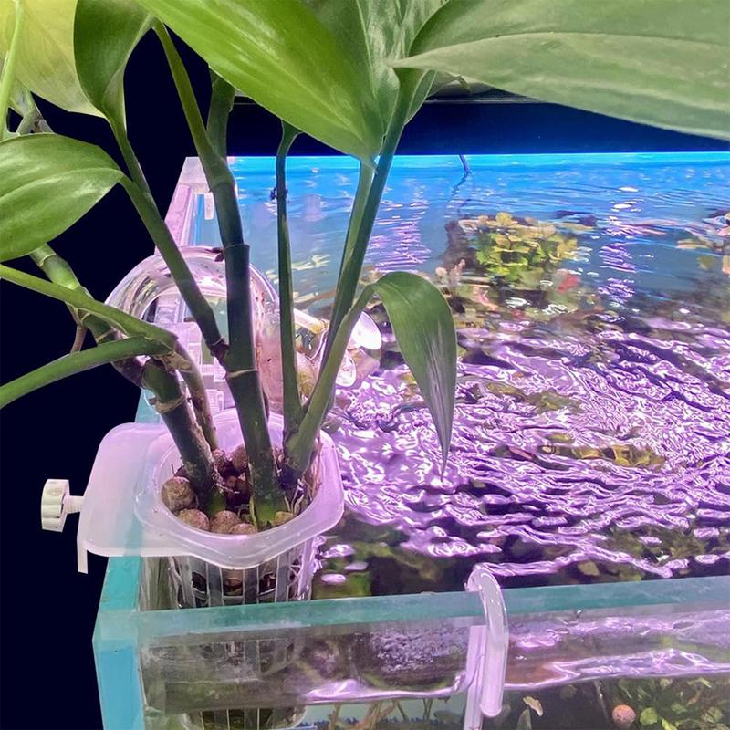 Корзина для посадки аквариумных растений Гидропонная поддержка Подвешиваемая Чашка для водных растений Аквариумный держатель для водных растений Настенные цветочные горшки