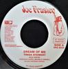 7-дюймовая пластинка TINGA STEWART Dream Of Me VPS8928 Joe Frasier 2004 Ямайка Регги Ска Даб Б/у