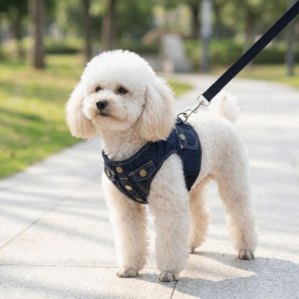 Oxford cloth Pet Harness Vest Style Escape Proof Harness Comfortable Vest Harness Pet Training