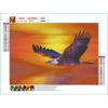 5D Diy алмазная живопись мультфильм парящий орел набор крестиков полная алмазная вышивка мозаика художественная картина стразы Декор подарок