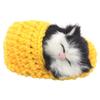 Sounds Sleeping Kitten Toy Slipper Sleeping Cat Simulation Sleeping Cats Mini Kittens in Shoes
