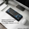 LEOPOLD KEYBOARD RUG Desk Mat Mechanical Keyboard Silent Mat S Size X LEO-KBR-S [350mmx140mm 5mm]
