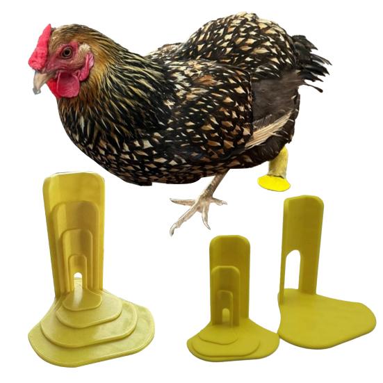 4Pcs/Set Chick Splay Leg Brace Hobble Splint Poultry First Aid