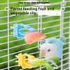2/4Pcs Pet Bird Food Holder Parrot Fruits Vegetables Clip Bracket Cuttlefish Bone Feeder Device Clamp Bird Cage Accessories