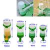 Hot Latest Sale Feeder Water Waterer Bird For Parakeet 60/90/140/150ml