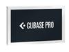 Steinberg Steinberg DAW-программа CUBASE PRO 13 Обычная версия CUBASE функция микширования Оснащена 80 типами аудиоэффектов PRO/R Передовая