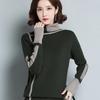 Women Turtleneck Sweater Long Sleeve Jumpers Knitwear Casual Autumn Winter Pullovers Femme Elastic