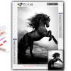 Diamond Painting Animal Horse  Diamond Mosaic Craft Diamond Embroidery Painting