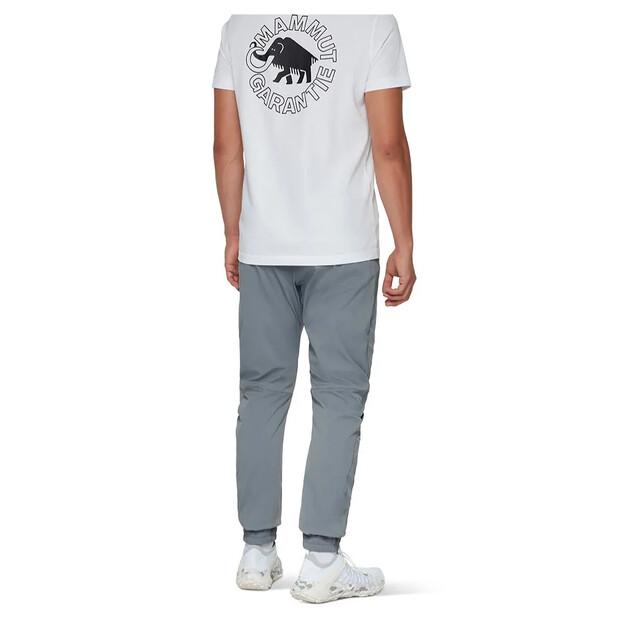 Mammut Брюки Massone Light