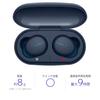 Sony WF-XB700 Wireless Earphones Blue