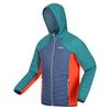 Regatta Mens Trutton Hooded Soft Shell Jacket