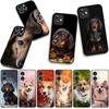 Чехол для Samsung Galaxy A25 A37 A57 A12 A14 A31 A41 A50 A51 A70 A71 A72 A21S A04 M15 Note 20 9 8 10 с рисунком корги и таксы