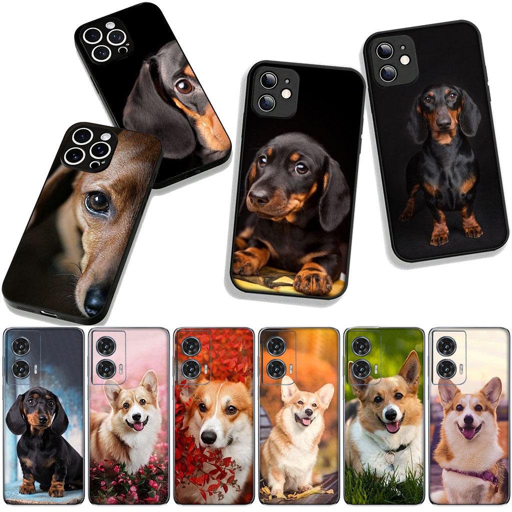 Чехол для Samsung Galaxy A25 A37 A57 A12 A14 A31 A41 A50 A51 A70 A71 A72 A21S A04 M15 Note 20 9 8 10 с рисунком корги и таксы