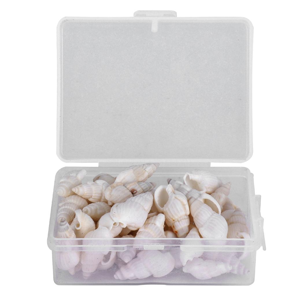 Natural Shells Sea Snail Jewelry Craft DIY Conch Home Wedding Decorations Ornament