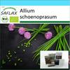 Gift Set - Organic - Chives - 250 Seeds - With Gift Box, Card, Label and Potting Substrate - Allium Schoenoprasum