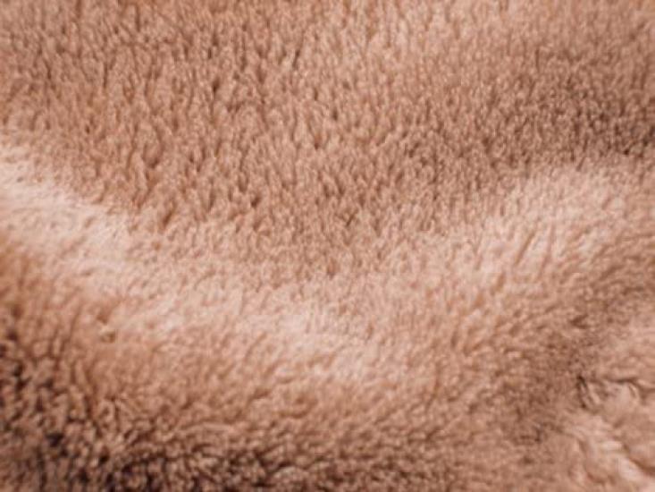 Fastlux Pet Sweet Chocolate Размер M Уличный Предотвращение Катастроф Жесткий Тип Переноска Для Домашних Животных