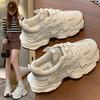 Platform Dad Shoes Women's Ins Tide 2025 Spring and Autumn New Fashion Versatile Mesh Breathable Sports and Leisure Shoes Women