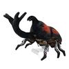 Taiyo Sangyo Boeki SA048 Wild Graphy Plush Toy, Realistic Rhinoceros Beetle, Gift