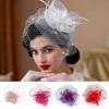 Tulle Petal Feather Headpiece Veil Headband with Hair Clip Mesh Flower Headwear  Cocktail Tea Party