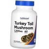 Reishi Mushroom, Turkey Tail Mushroom, (71647017)