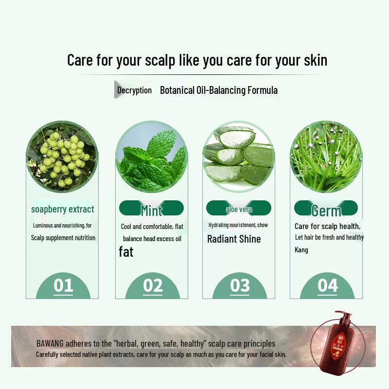 BaWang Sapindus Balancing Oil Control Anti-Dandruff Shampoo