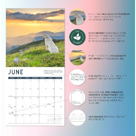 Dogs in the Wilderness 2026 Calendar | 2026 Wall Calendar | Monthly Planner | Planner 2026-2027 | Marble City Press | 12” x 24” | Sustainable |