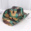 Star men's and women's western denim new straw hat star striped outdoor sunshade sun protection hat jazz hat