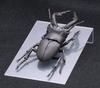 Free Research Series Living Creatures Stag Beetle Plastic Model No.22