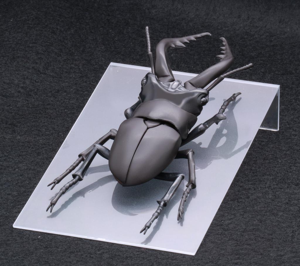 Free Research Series Living Creatures Stag Beetle Plastic Model No.22