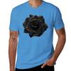 Single Large High Resolution Black Rose. T-Shirt tees new edition plain black t shirts men