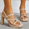 Summer Women 11cm High Heels 2cm Platform Mules Fetish Chunky Block Heels Gladiator Sandals Nightclub Prom Catwalk Shoes