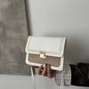 High-End Niche Bag Women'S Trendy Fashion Versatile Messenger Bag Women'S Texture Versatile Shoulder Small Square Bag