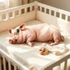 Со звуком Плюшевая игрушка свинья Симуляция спящей свиньи Плюшевая кукла свинья Набитая игрушка свинья Подушка для дивана