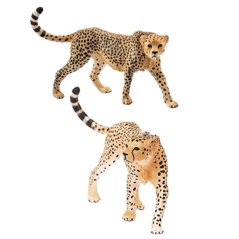 Realistic Wildlife Statue Cheetah Head Up Clouded Leopard African Leopard Indian Leopard Collection Toy 10*2.5*6.5cm)