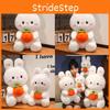 Cute Plush Rabbit Doll With Embracing Persimmon Decorations For Gift Kids