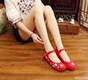 Chinese Traditional Style Birds and Flower Embroidered Women Canvas Ballet Flats Vintage Ladies Round Toe Soft Cotton Shoes