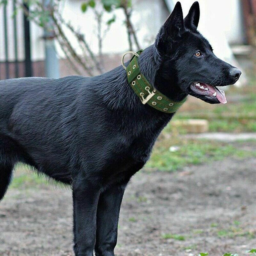 Для средних и больших собак утолщенный ошейник для тренировок на открытом воздухе, ожерелье с ремешком на шею, товары для домашних животных