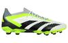 adidas Predator Accuracy.1 Low Turf Japan HG/AG 'Белый Зеленый Черный' IE9429