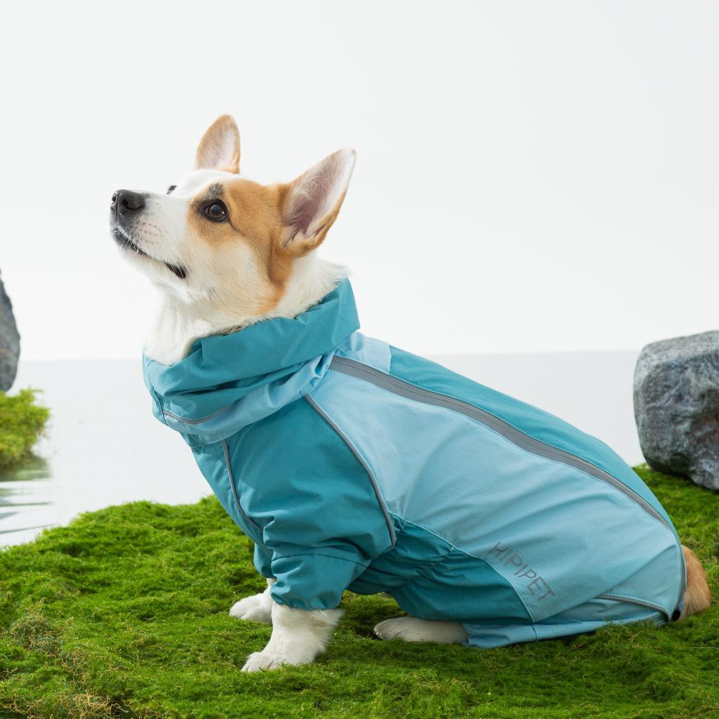 Новая одежда для домашних питомцев, маленьких и средних собак, которую можно носить в любое время года, водонепроницаемая, дождестойкая и влагозащищенная одежда для прогулок в дождливую погоду