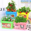 Children Grow Small Potted Fruit Strawberry Baby Mini Plant Sprout Farm Growth Observation Box Scientific Practice