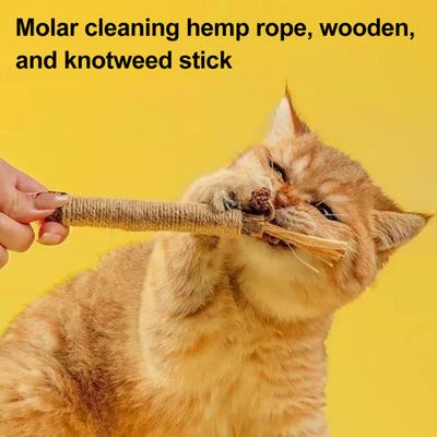 Кошки Палочки из серебряной лозы Натуральная серебряная лоза Игрушки-жевалки для кошек Дентальные палочки Улучшение пищеварения Устранение комков шерсти Лакомства для кошек Тренировка Игра